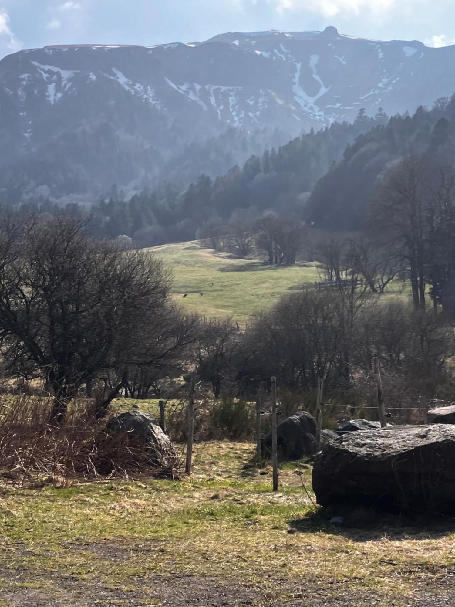 Dore Rez De Chausse Apartment Le Mont-Dore